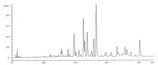 5e23ccda356e9.jpg 27.jpg